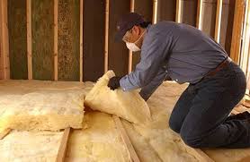 Best Commercial Insulation Services  in Shady Hollow, TX