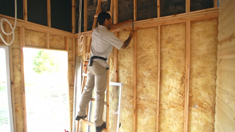 Best Insulation for New Construction  in Shady Hollow, TX